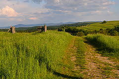 Rezerwat przyrody Kalwaria Pacławska